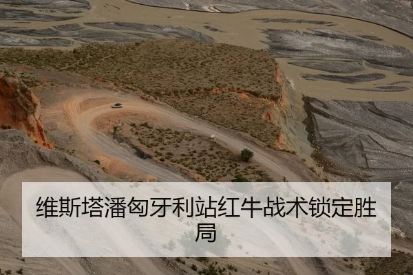 维斯塔潘匈牙利站红牛战术锁定胜局